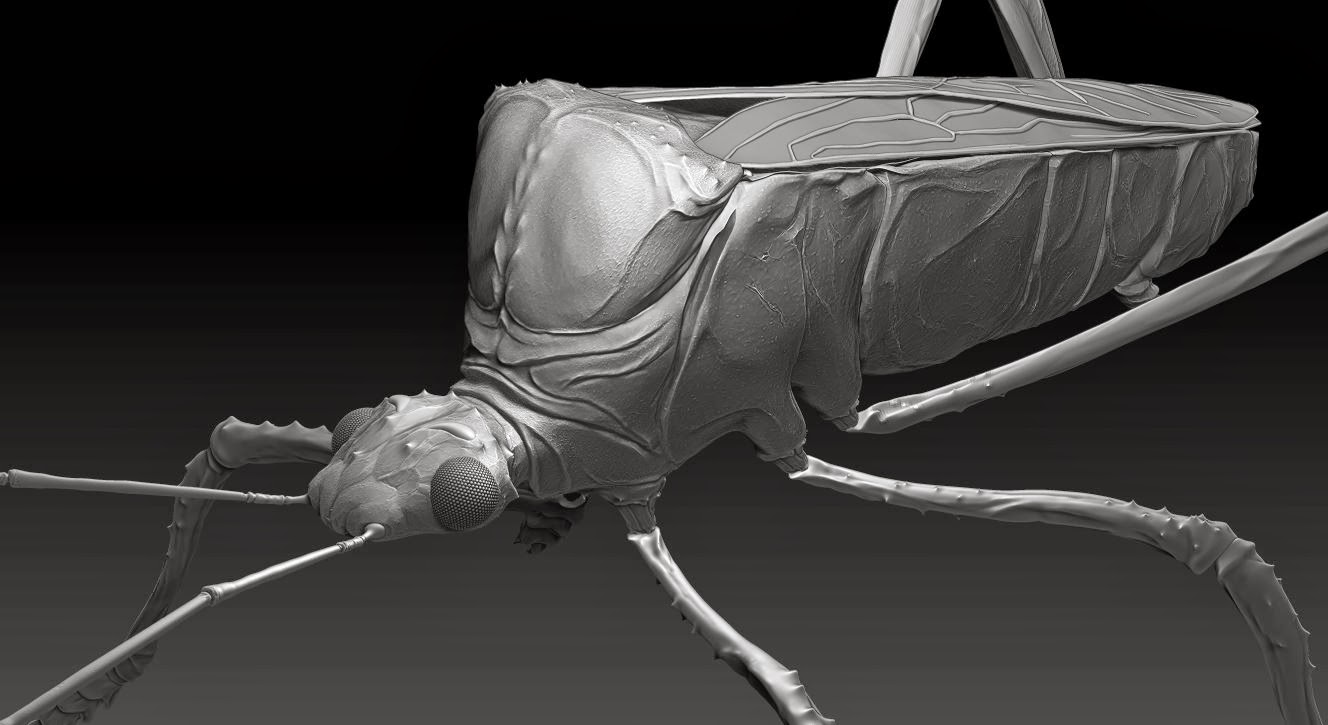 Dan Dunford: Zbrush Insect