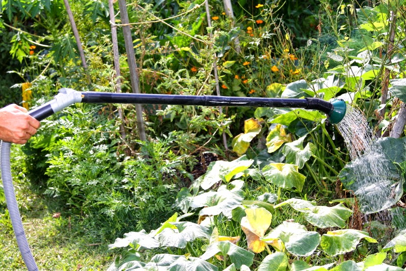 SpurTopia Our Sustainable Living Story Gravity irrigation system