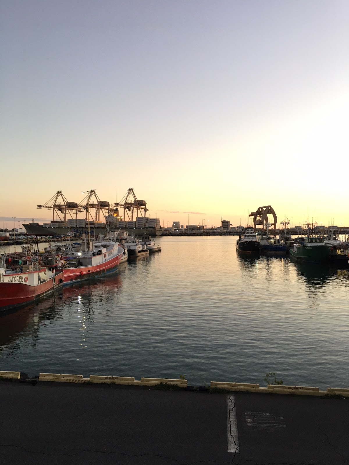 Harbor At Pier 38 - 8y3o560