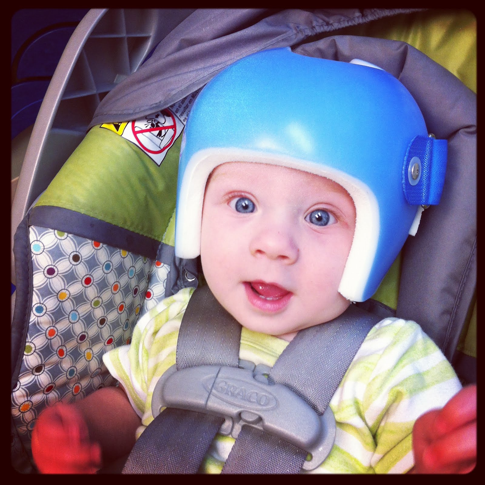 The D Log Cabin 7 Month Letter