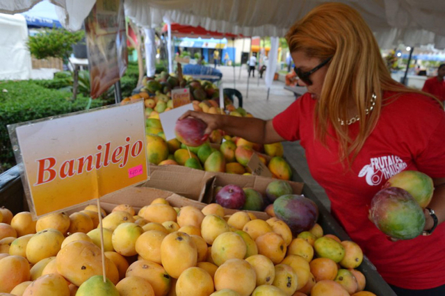 RD con capacidad para exportar US$100 millones en mangos mangos