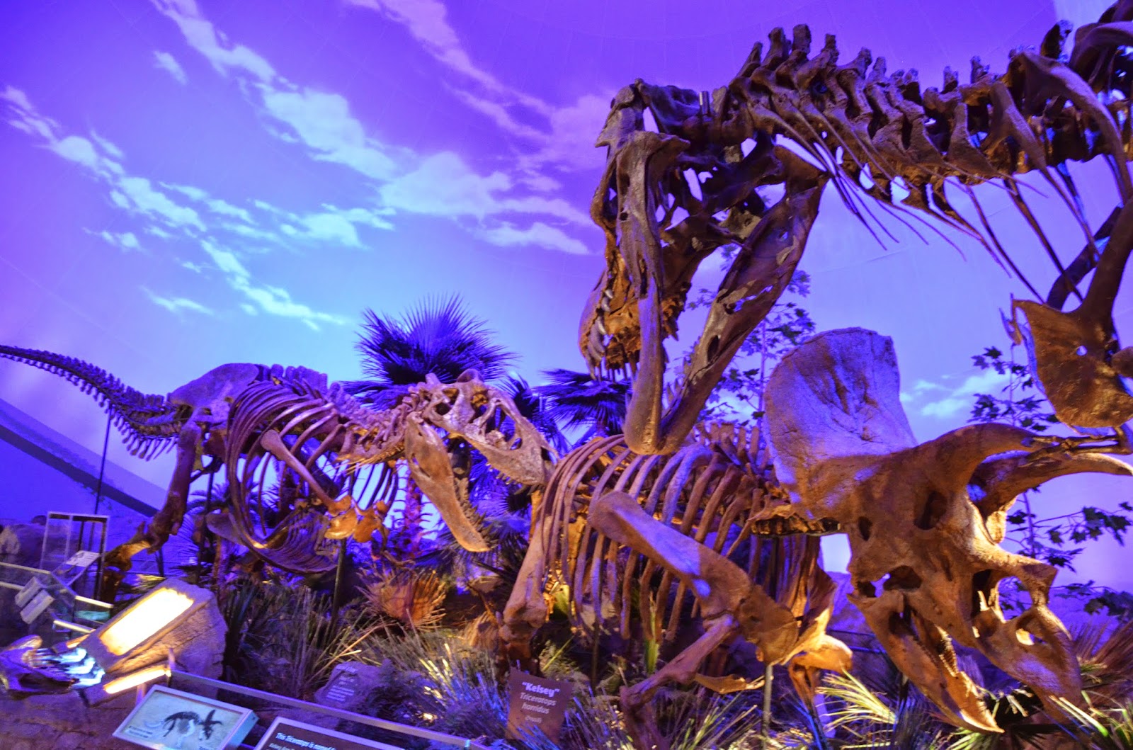 Midwest Family Traveler Dinosphere at Children's Museum of