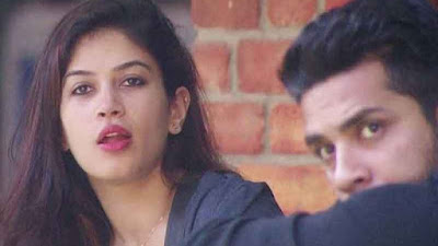 बंदगी कालरा और पुनीश शर्मा बिग बॉस-11 में बंदगी कालरा और पुनीश शर्मा