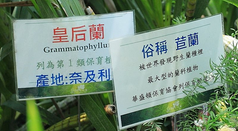 蘭科植物園|珍奇蘭種保育區|台南山上景點