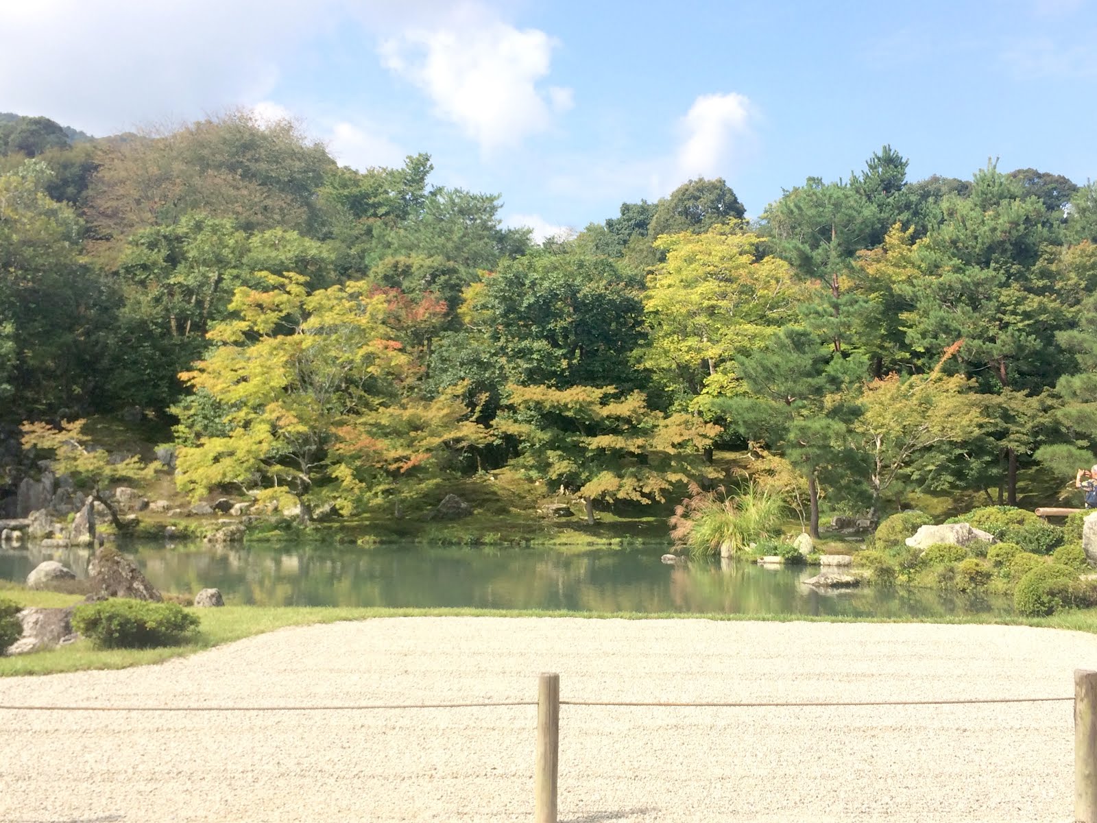 Arashiyama Gardens Bamboo Forest