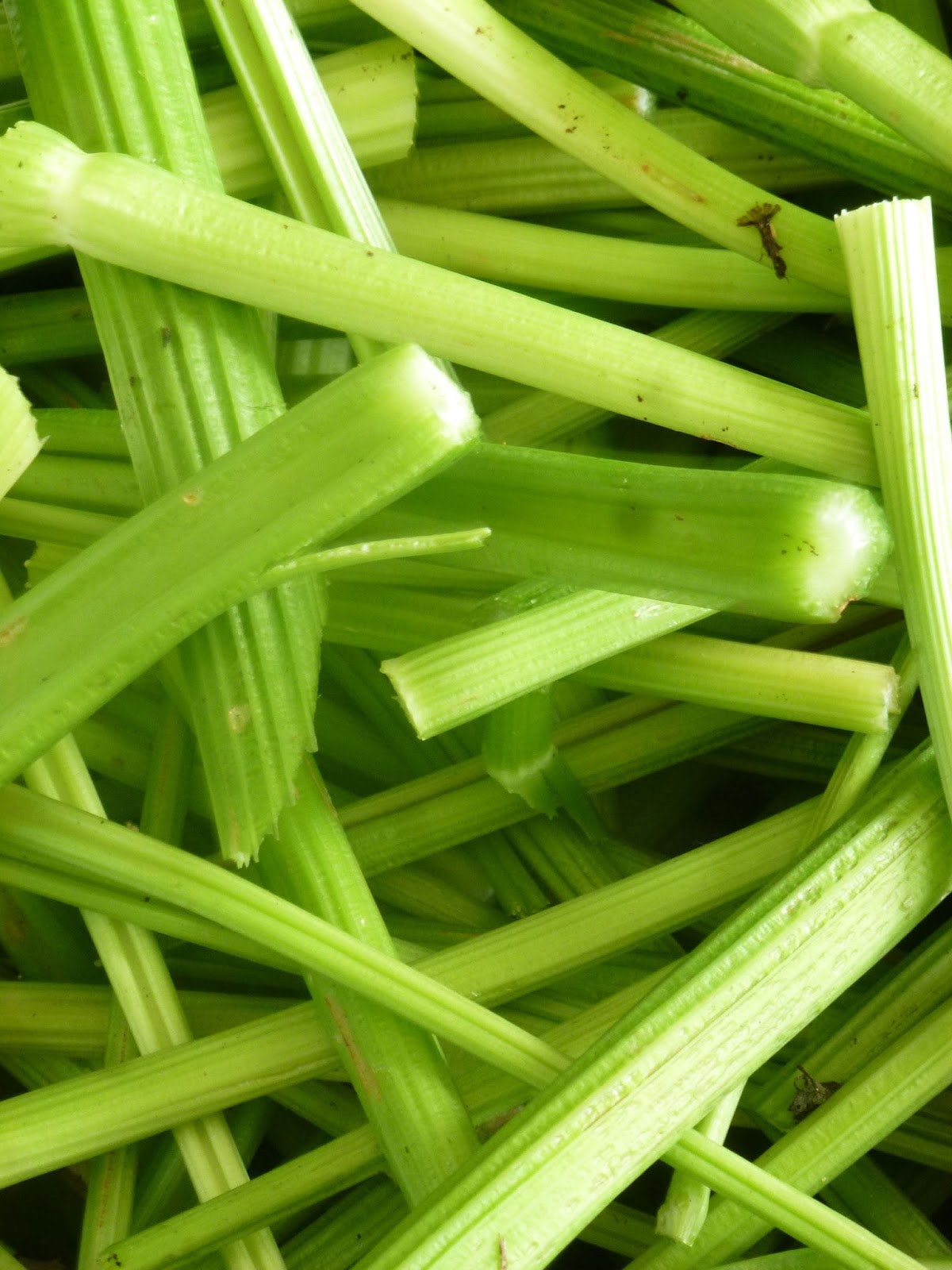 Growing Up Mormish Cleaning the Celery