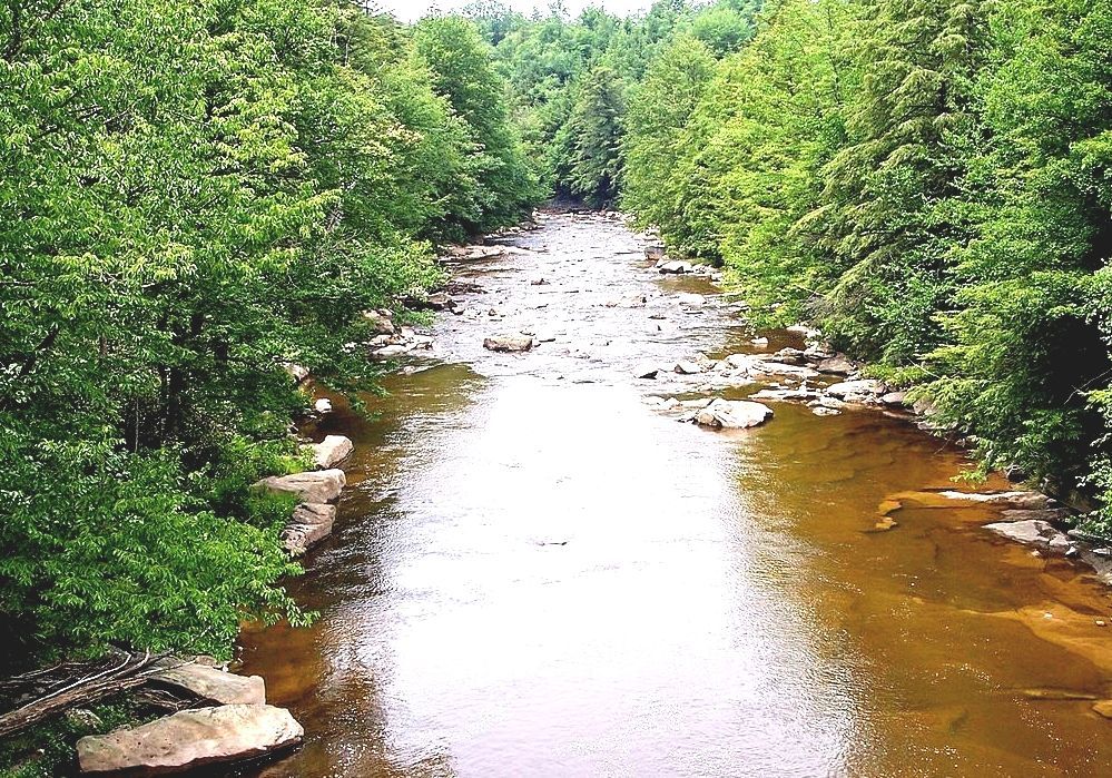 Blackwater River (Virginia) Blackwater River Virginia