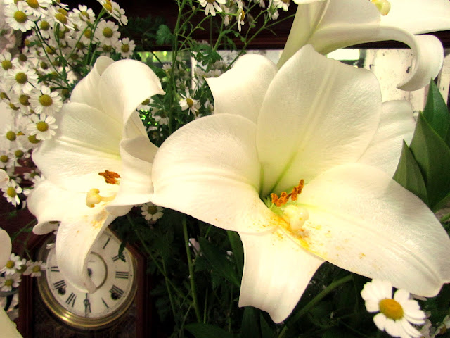 Suziqu's Threadworks: Christmas Blessings, Christmas Lillies and Gifts