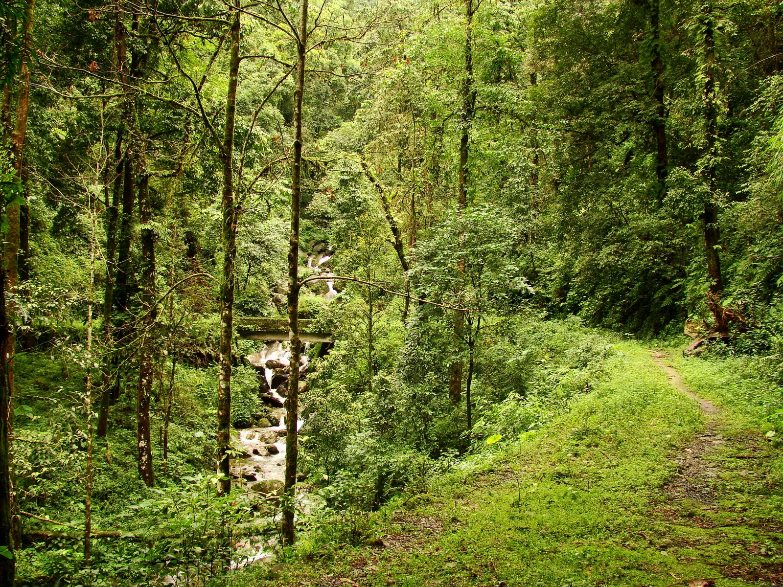 Bindu in Dooars | Dooars Ecoviillege