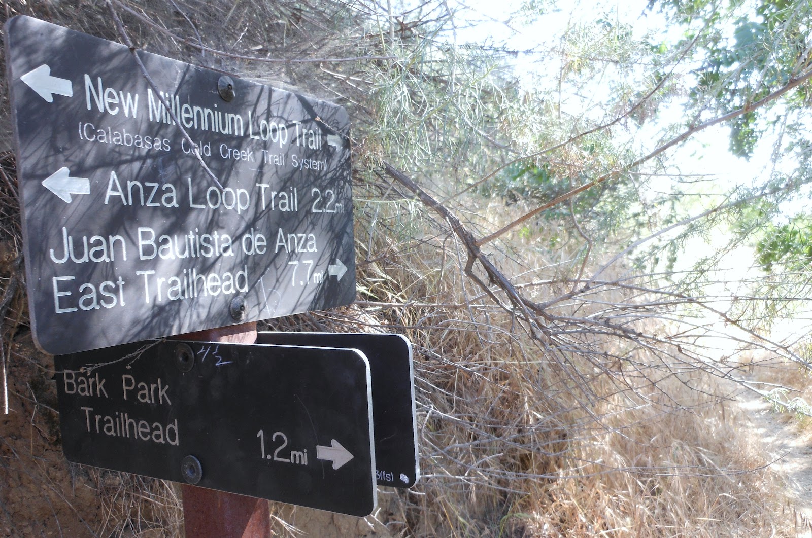 1000 Hikes in 1000 Days Day 556 Bark Park New Millennium Loop Trail