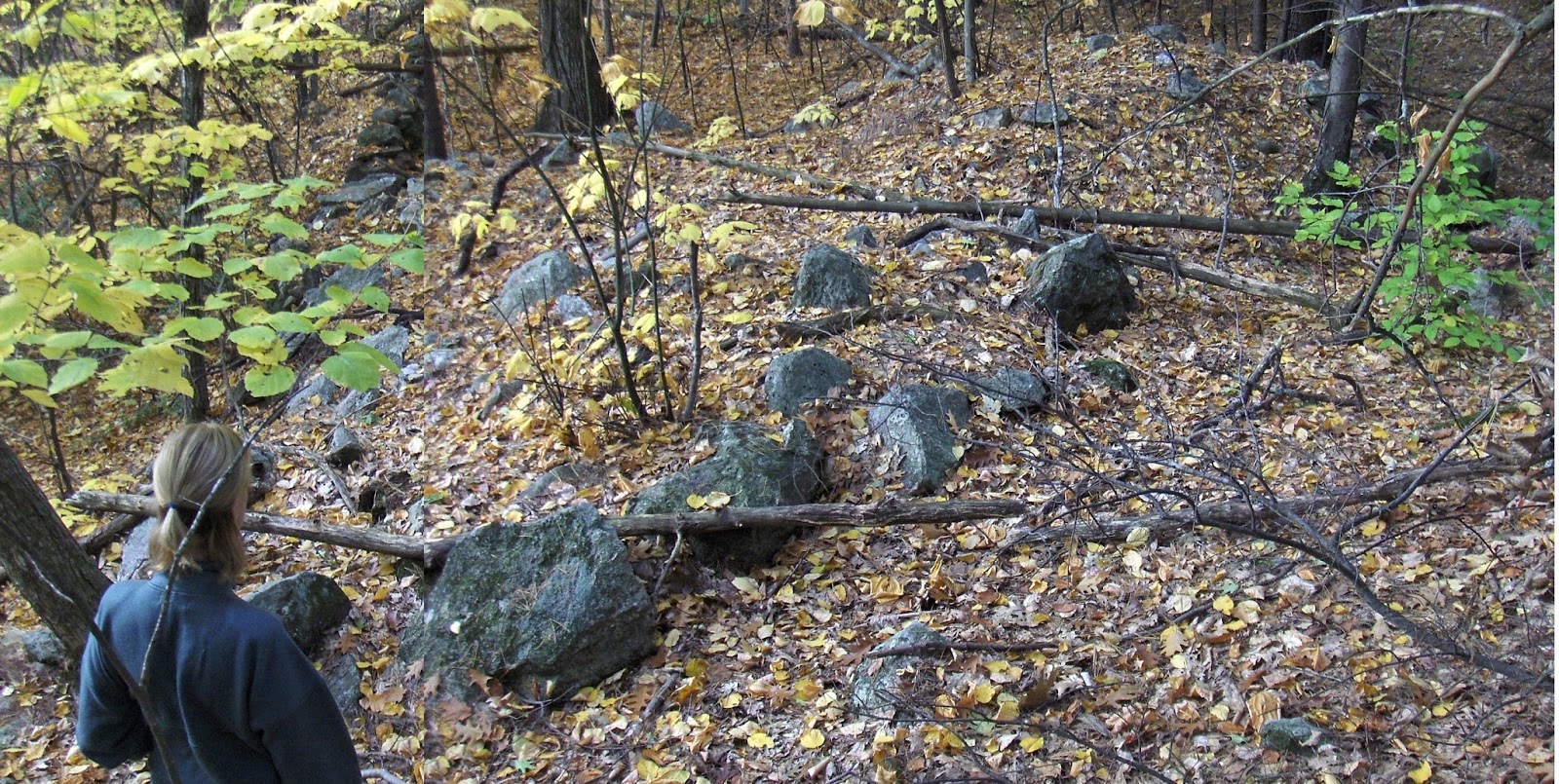 Rock Piles A large mound from Mason NH