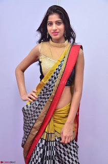 Naziya Khan Model in Saree At Kala Silk Handloom Expo Dec 2017~  Exclusive Galleries 007