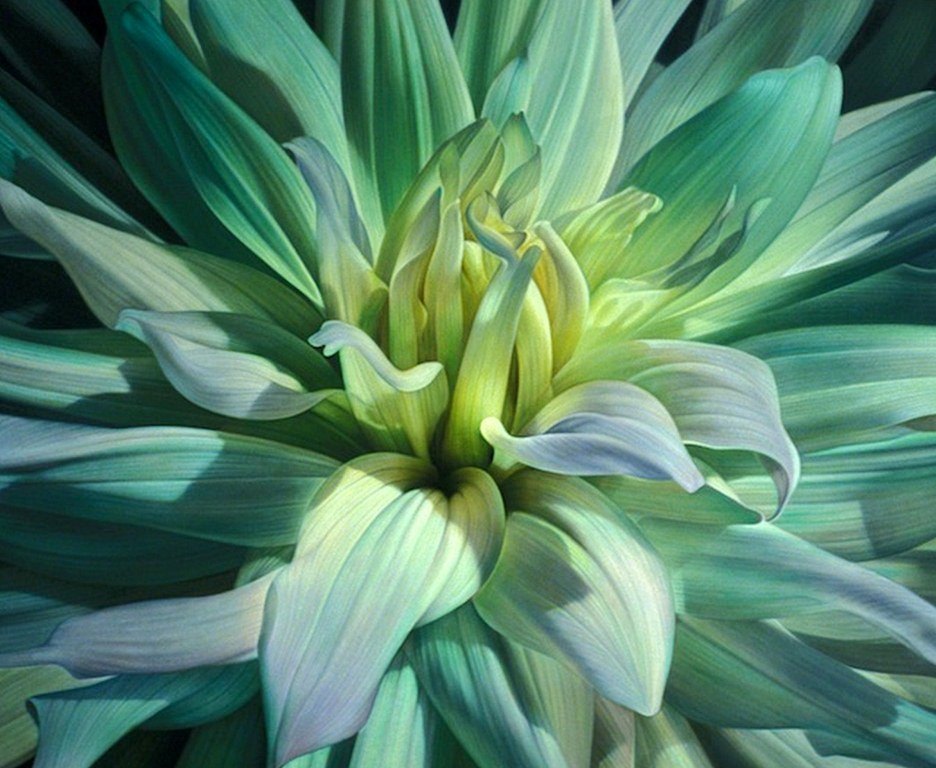 Imágenes Arte Pinturas: Flores para Pintar al Óleo Imágenes Arte Pinturas: Flores para Pintar al Óleo