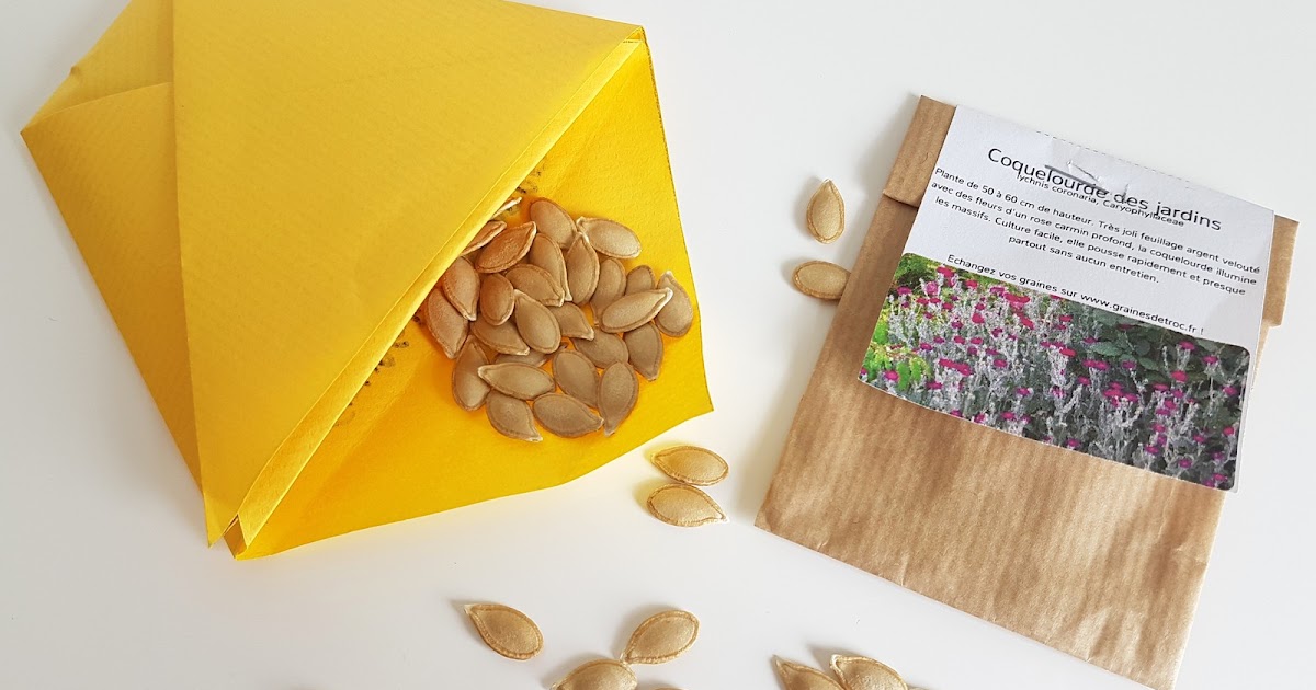 DIY Sachet à Graines en Origami , pour Echanger vos Semences et