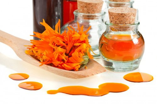 Remède de calendula pour soulager les hémorroïdes Remède de calendula pour soulager les hémorroïdes
