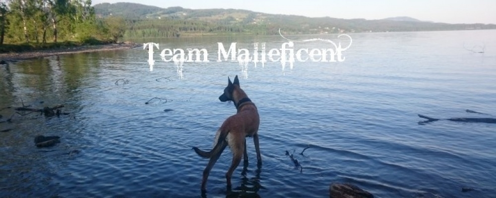 Team Malleficent