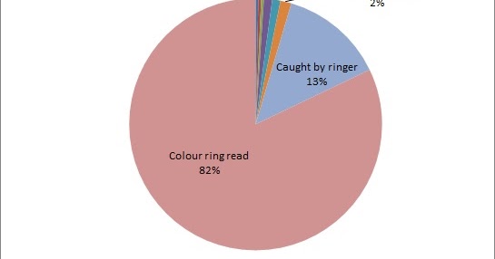 Reporting Bird Rings Reporting Bird Rings