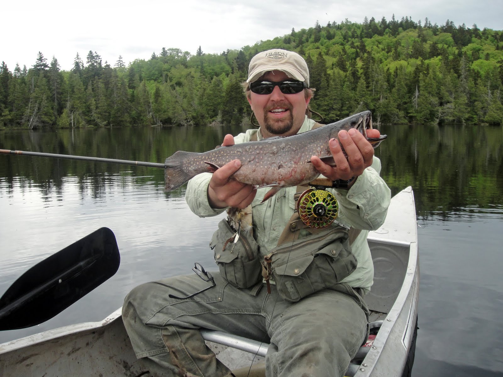 Northwoods Outfitters Trophy Maine Brook Trout!