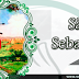HISTÓRIA DE SÃO SEBASTIÃO