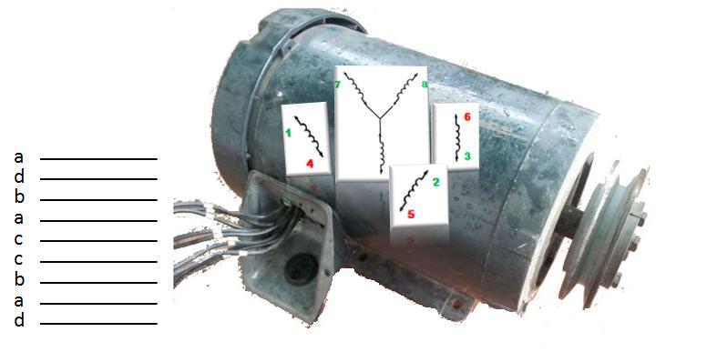Conexiones De Motores Trifasicos De 12 Puntas Pdf