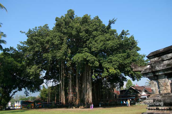 candi mendut magelang