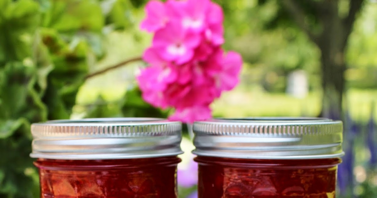Ohio Thoughts Strawberry Jam (No Canning Required)