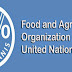 FAO donates $ 200,000 for Albanian children attending educational institutions to be feeded with bio products