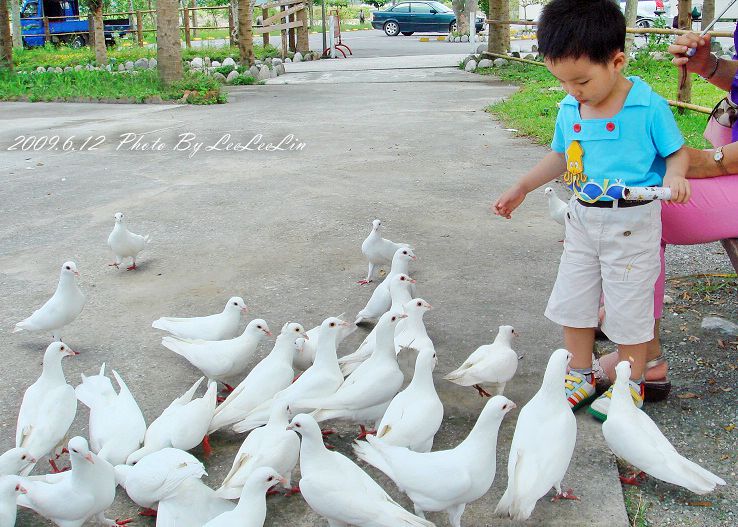 豐之谷濕地公園|韋恩鮮茶舖|近花蓮壽豐理想大地渡假飯店