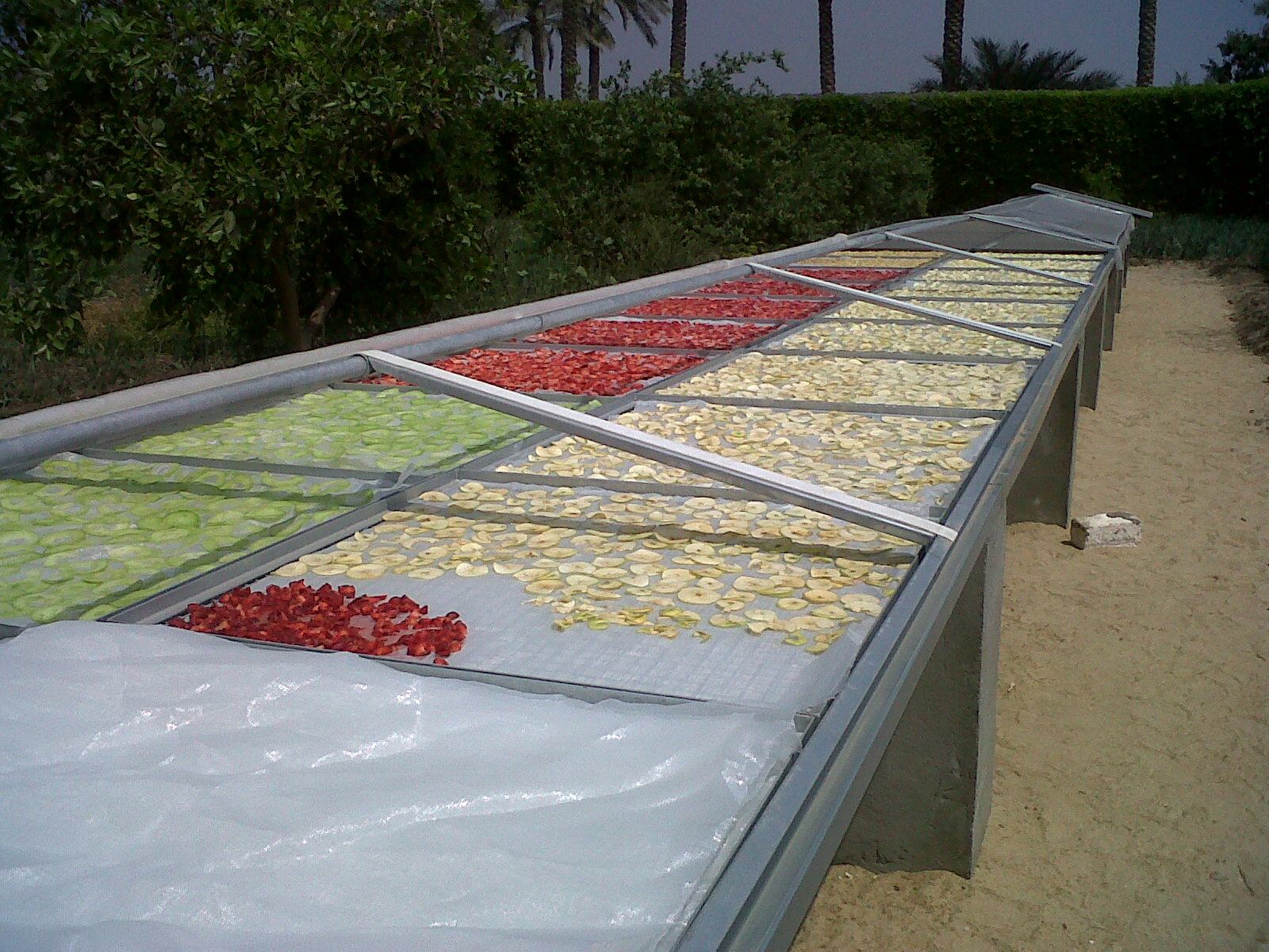 Cut and Dried... Minnie's Dried Fruits & Vegetables Photo Album