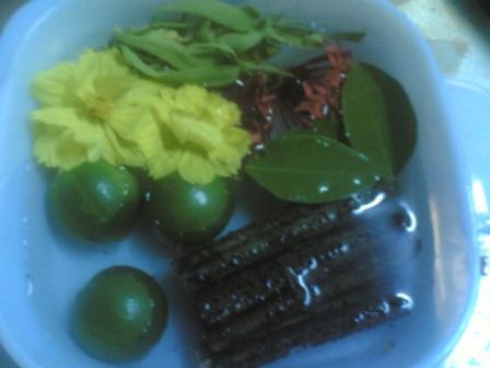 Skpd 1033 Ritual After Bersanding Bridegroom Sitting Of State