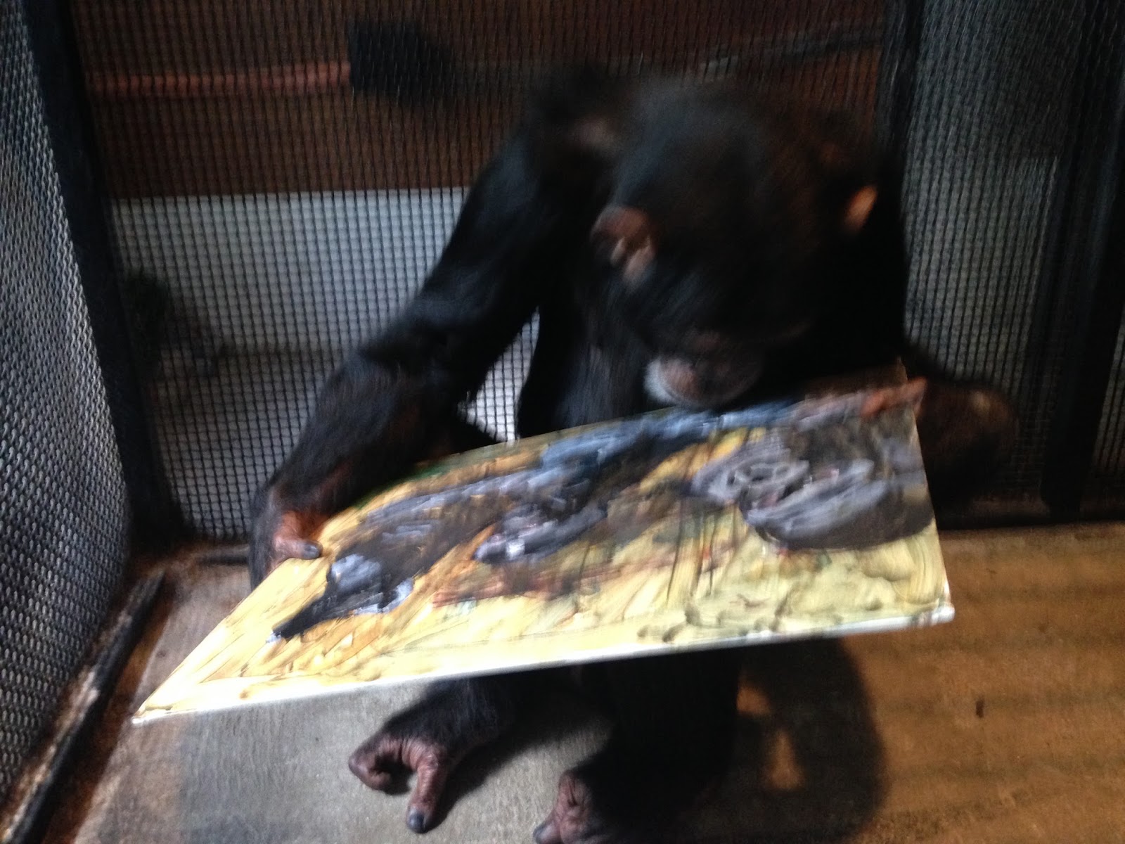 Notes from the Pens: Chimpanzees and Representational Art