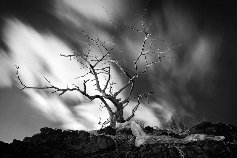 Fine Art Photography Fine Art Photography