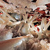 Naica's Crystal Caves Hold Long-dormant Life