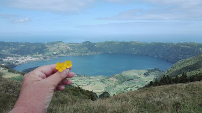 Azzorre discovery