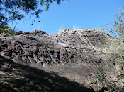 Pedra Casco de Tartaruga(Marvão)