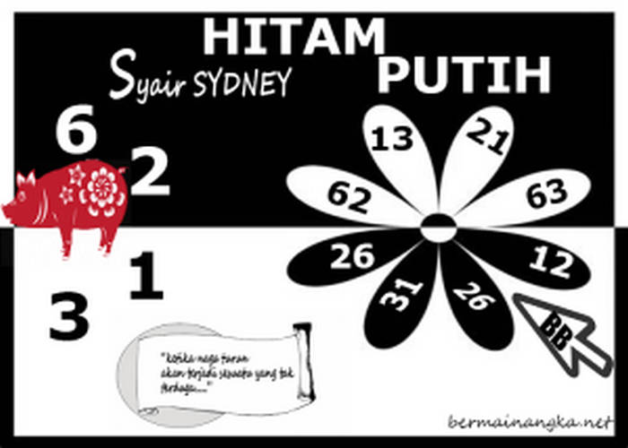 SYAIR SYDNEY ASIKTOTO