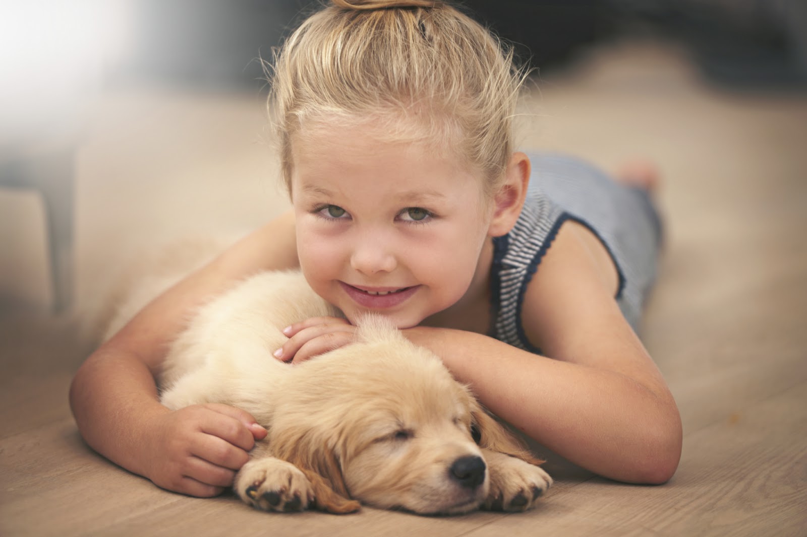 Berkeley Heights Animal Hospital Five Pet Safety Tips For Young Children