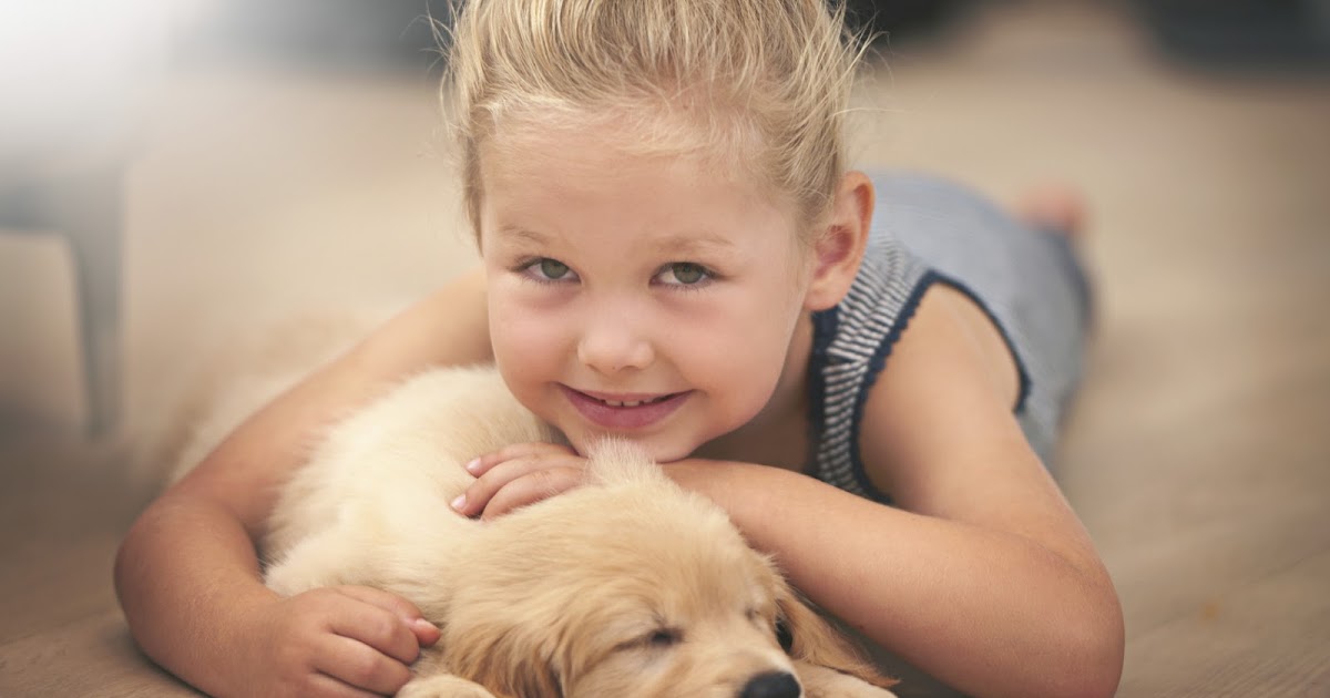 Berkeley Heights Animal Hospital Five Pet Safety Tips For Young Children