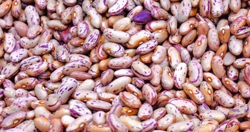 Makanan Nabati yang Mengandung Asam Lemak Omega 3 Makanan Nabati yang Mengandung Asam Lemak Omega 3