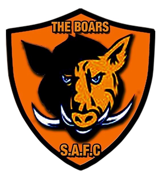 ESCUDOS DO MUNDO INTEIRO PIRÂMIDE DO FUTEBOL INGLÊS ANGLIAN