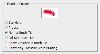 Select normal brush tip