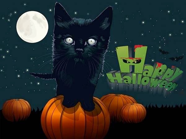 Happy Halloween Day HD Images Wallpapers Greetings Cards 2016 