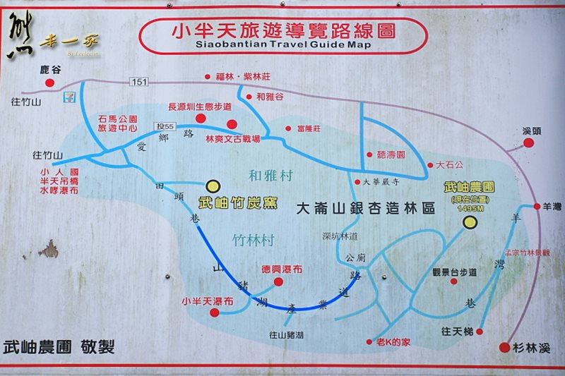 銀杏森林|武岫農圃|銀杏林觀景步道