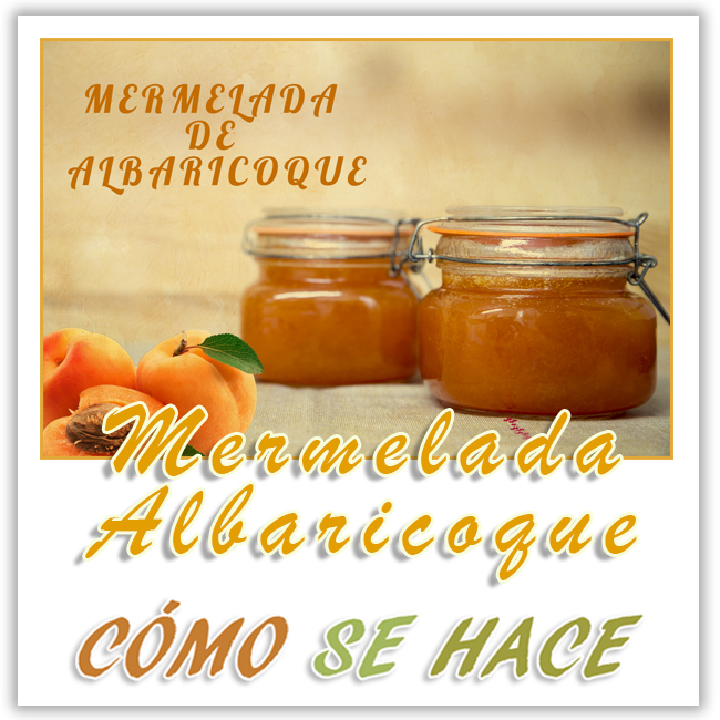 MERMELADA CASERA DE ALBARICOQUE