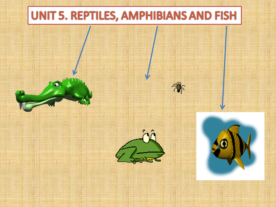 BILINGUAL SCHOOL JOSÉ MARÍN "FATEGO" unit 5 science reptiles