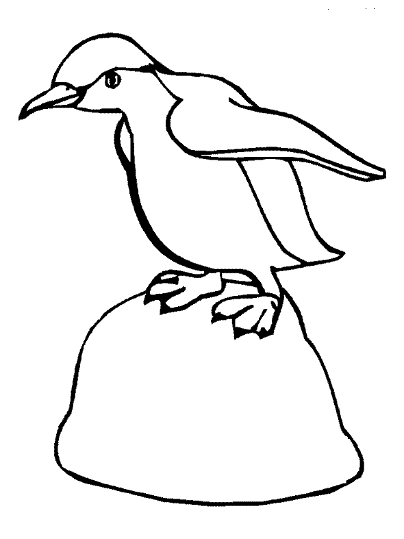 panguin coloring pages - photo #28