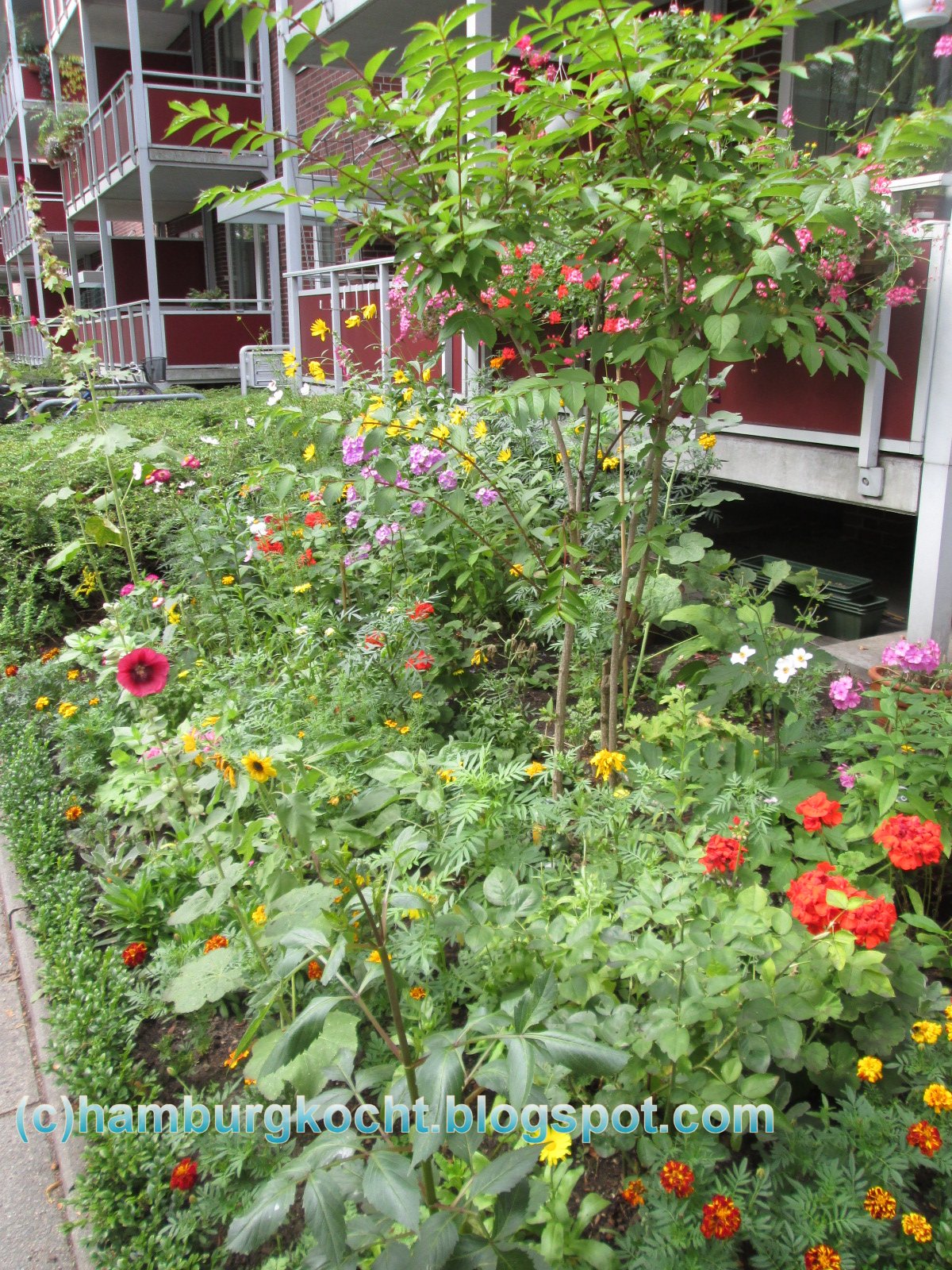 Hamburg kocht!: 01.09.13 - 01.10.13