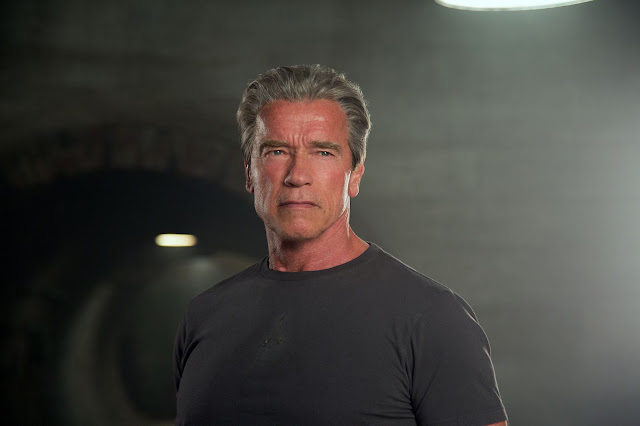 Arnold Schwarzenegger Images