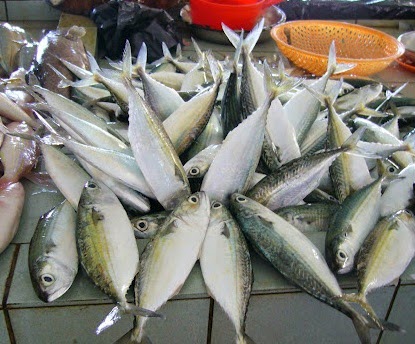 Anim Agro Technology: IKAN SELAR