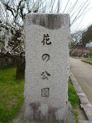 花の公園 花の公園